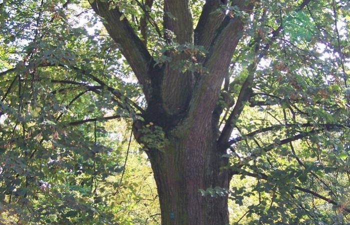 Warszawa10-10-09r-02