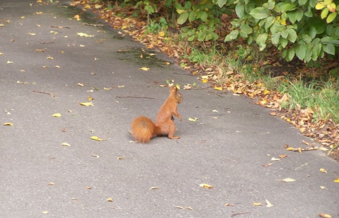 Warszawa10-10-09r-20