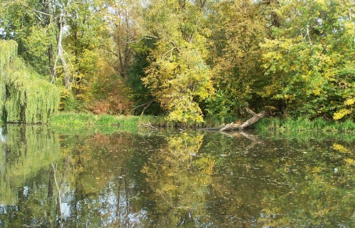 Warszawa10-10-09r-29