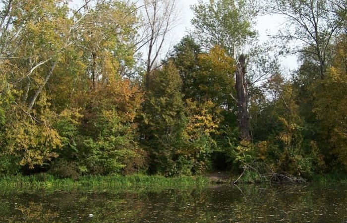 Warszawa10-10-09r-30