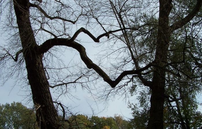 Warszawa10-10-09r-31