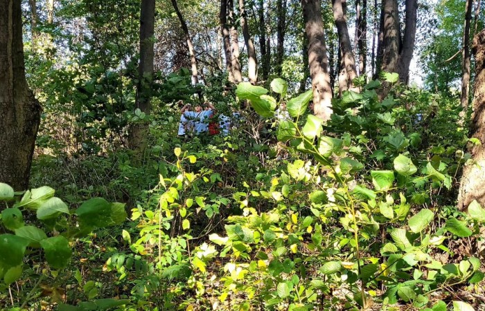 MicrosoftTeams-image (60)