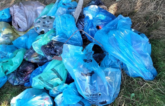 MicrosoftTeams-image (62)