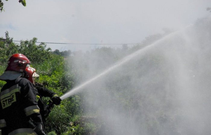 Dzien Dziecka 2009 - 33